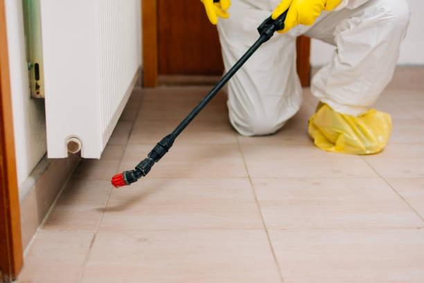 Tindale Pest Control: The Premier Solution for Pest Management in Ocala, FL