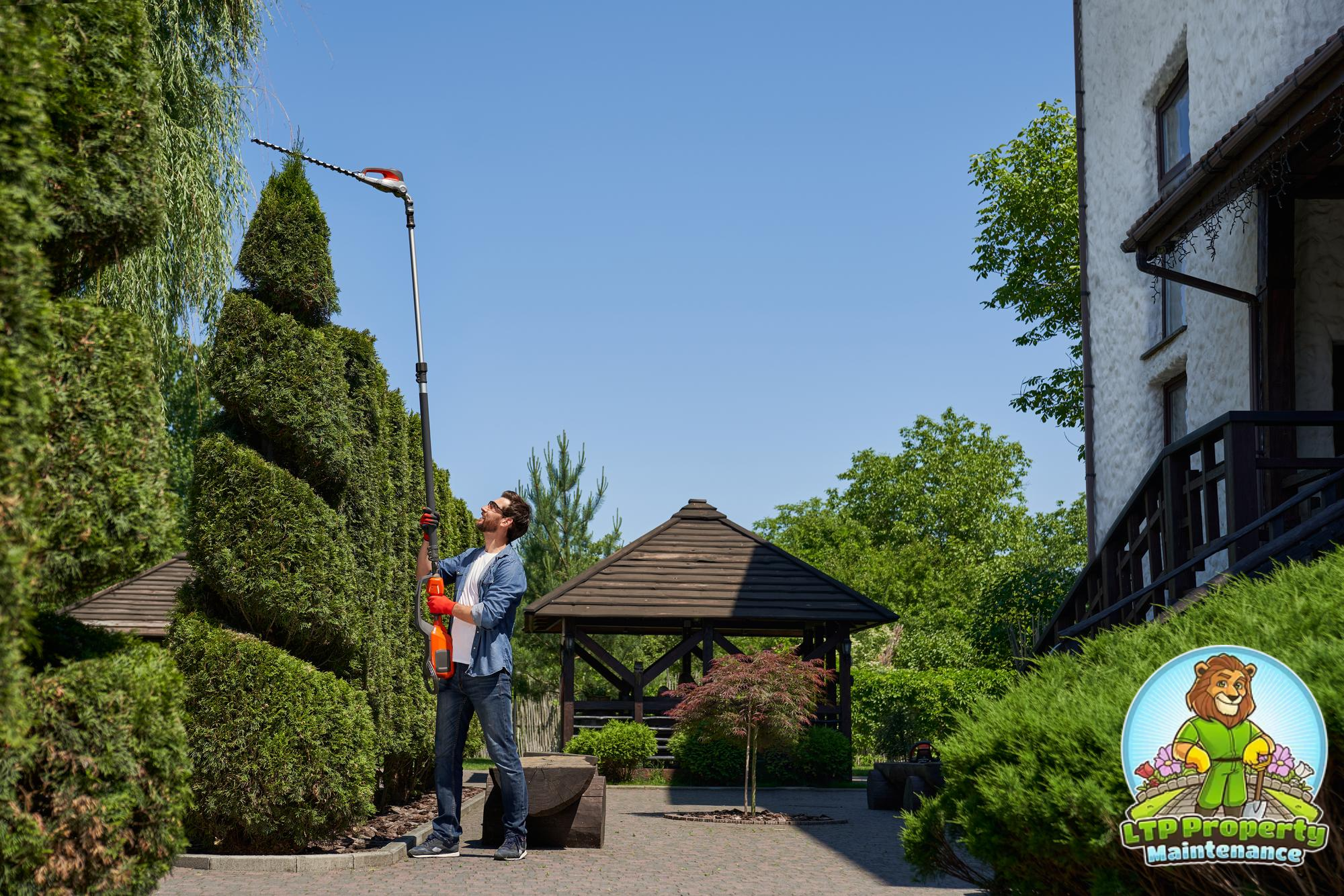 How to Reduce Allergens in Your Yard with Davidson Landscaping